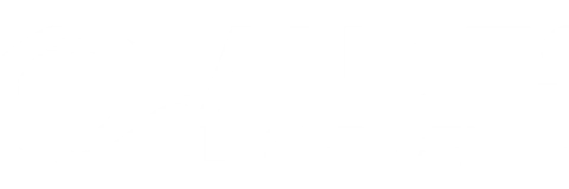 ANDES LASER CENTER